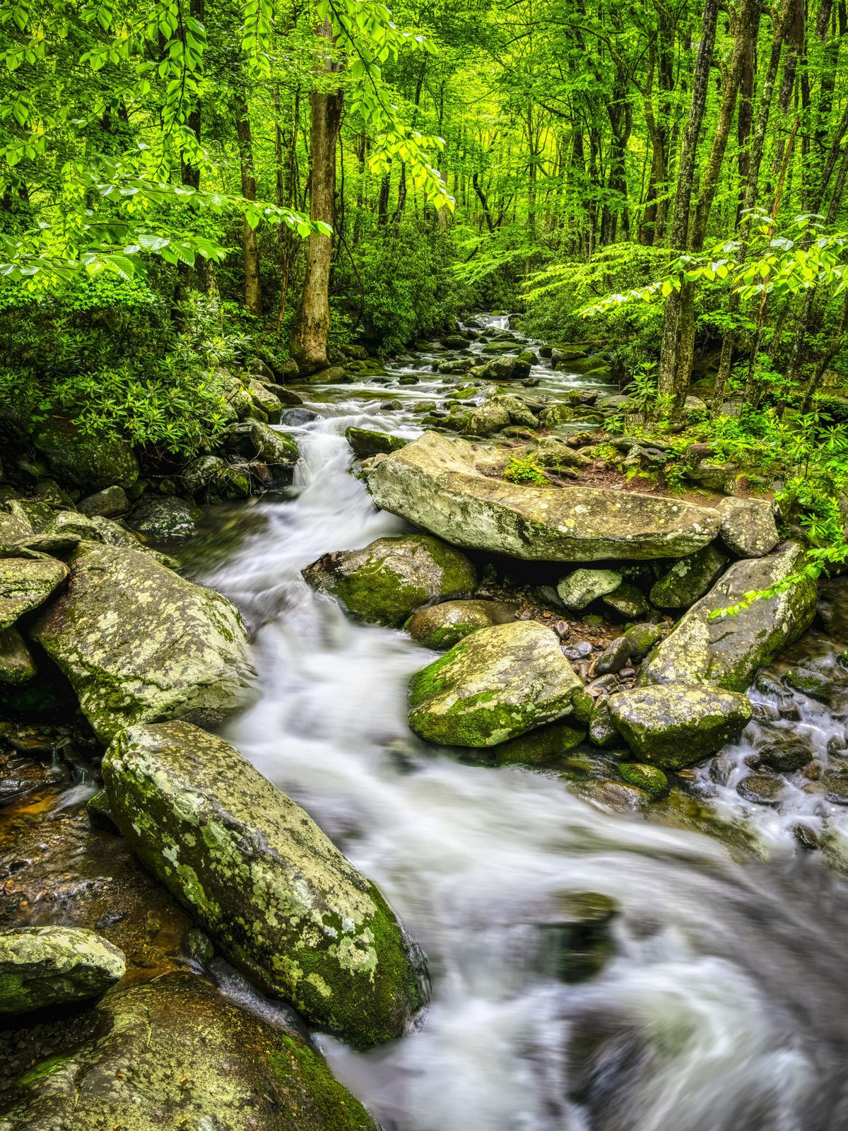 Woodland Cascade Mural Wallpaper - pure wallpaper artwork