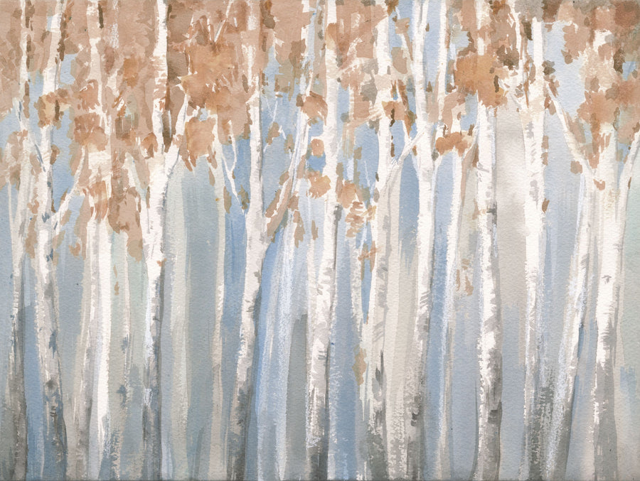 Fall Birch Mural Wallpaper