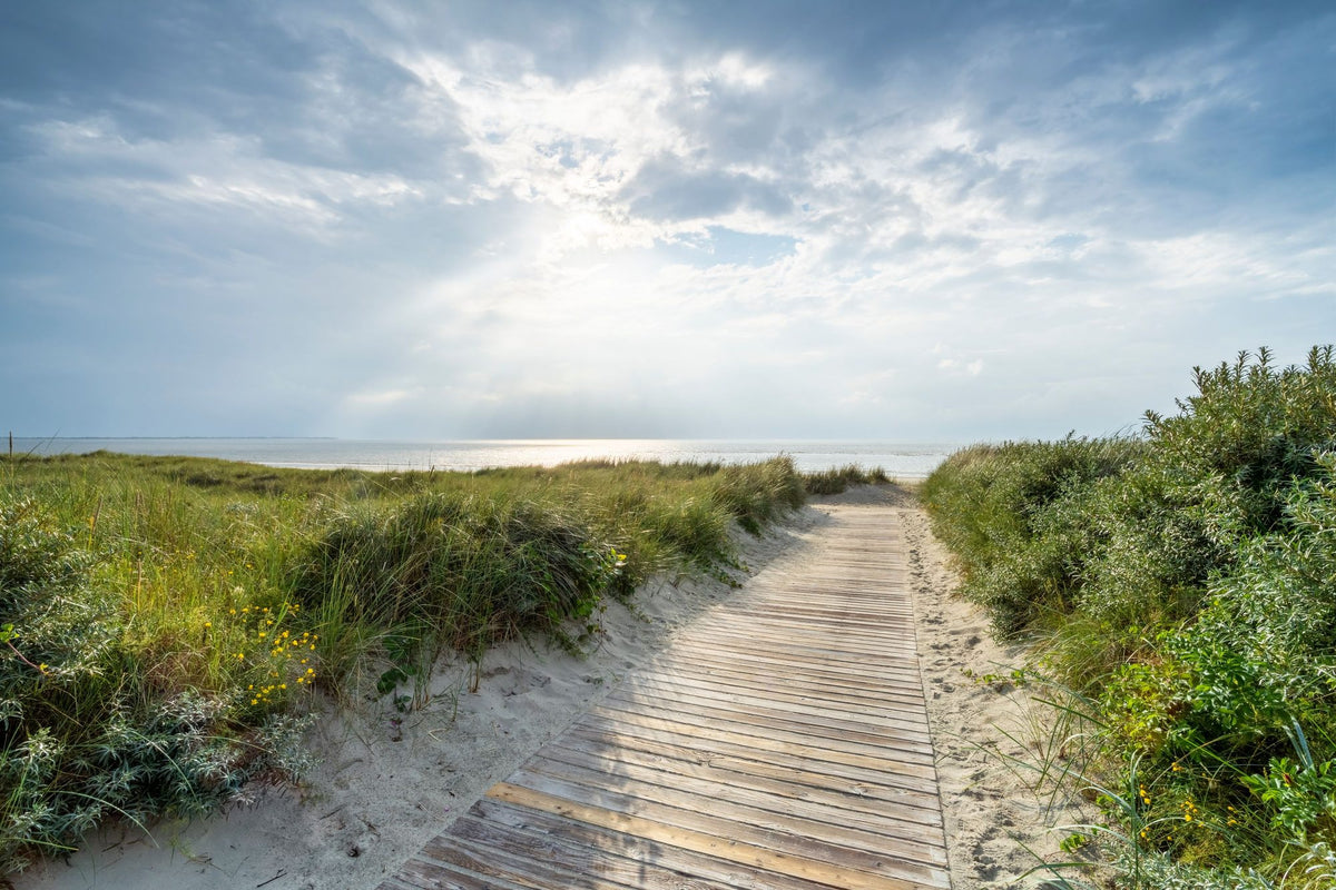 Day At the Beach Mural Wallpaper - pure wallpaper artwork