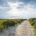 Day At the Beach Mural Wallpaper - pure wallpaper artwork