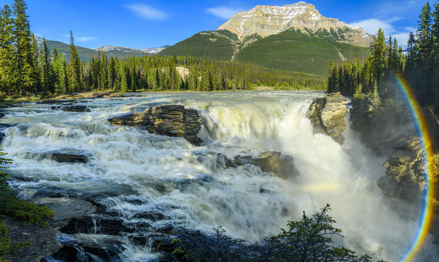 Athabasca River Falls Mural Wallpaper