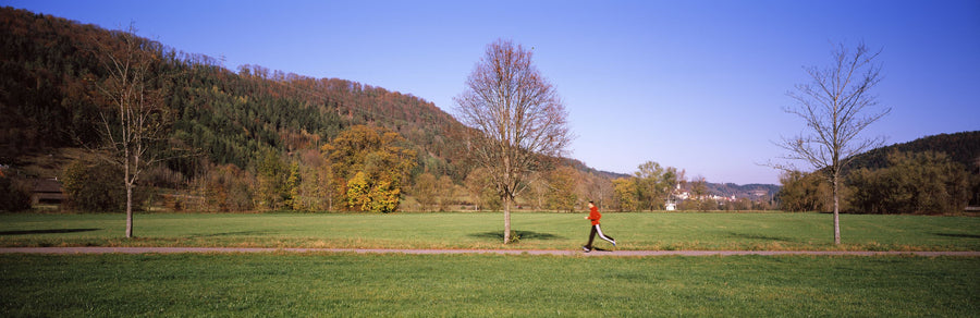 Autumn Trail Horizon Mural Wallpaper