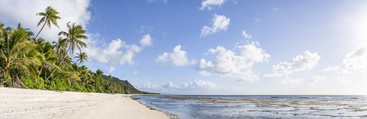 Guam Beach Mural Wallpaper - pure wallpaper artwork