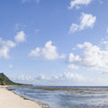 Guam Beach Mural Wallpaper - pure wallpaper artwork