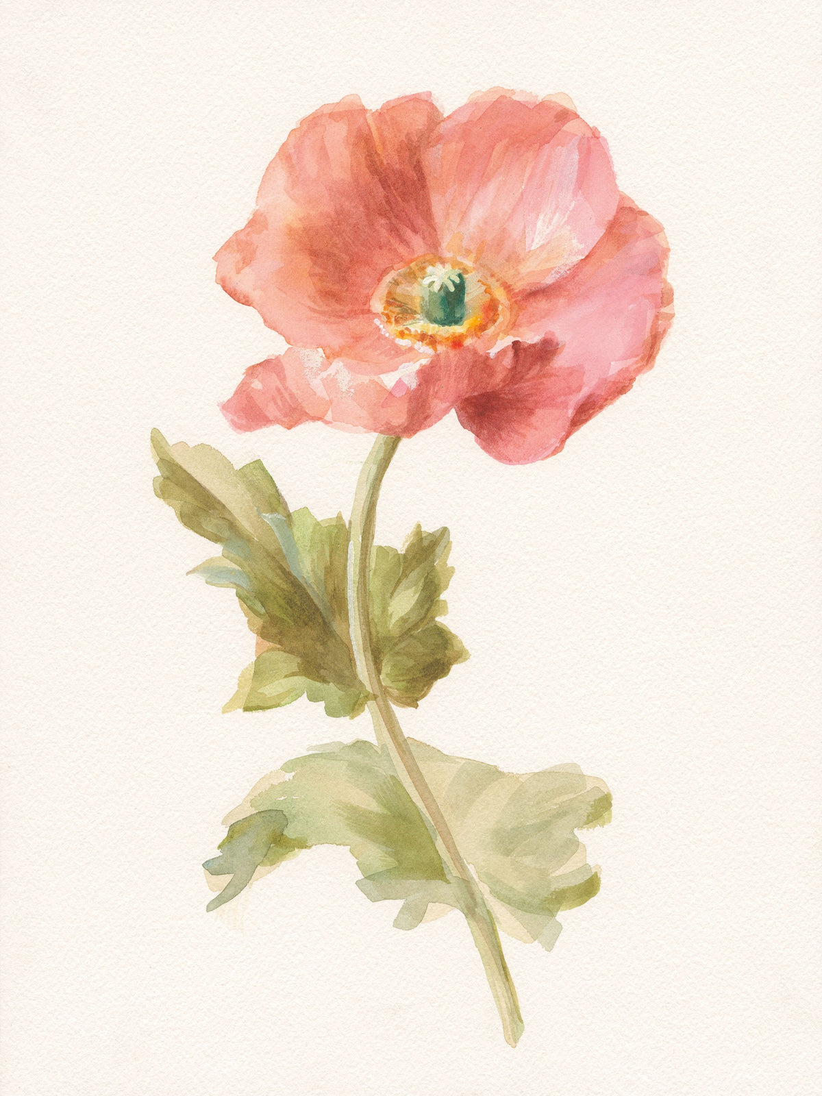 Garden Poppy Mural Wallpaper - pure wallpaper artwork
