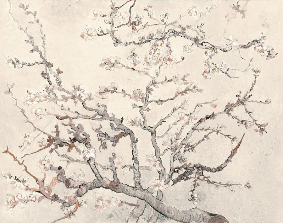 Almond Blossom, Cake Mural Wallpaper