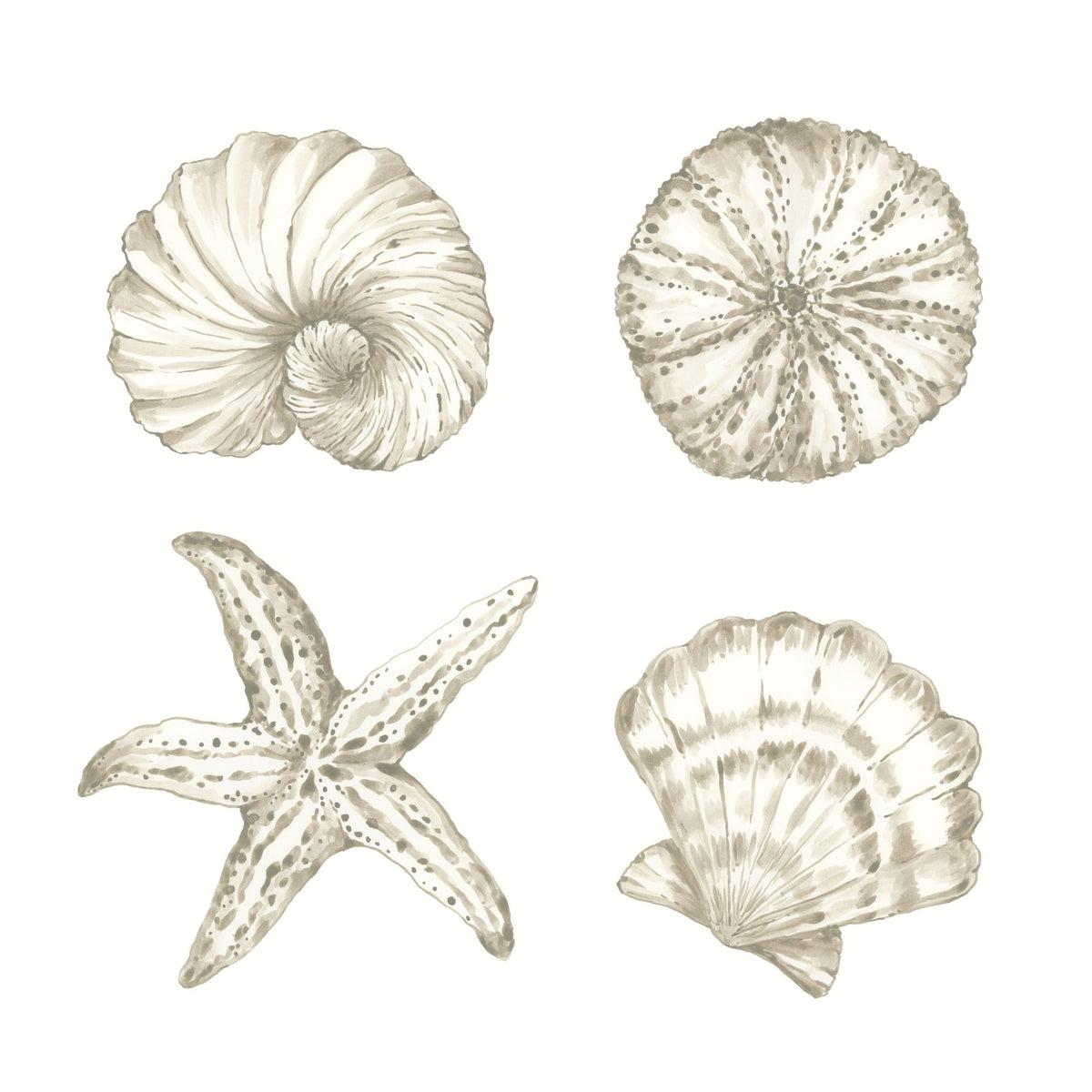 Coastal Reef IX Mural Wallpaper - pure wallpaper artwork