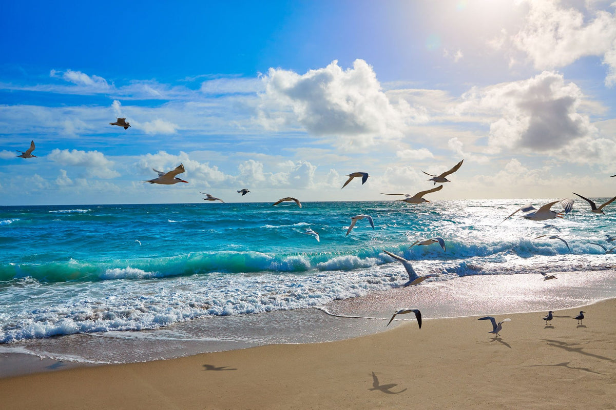 Singer Island Mural Wallpaper - pure wallpaper artwork