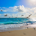 Singer Island Mural Wallpaper - pure wallpaper artwork