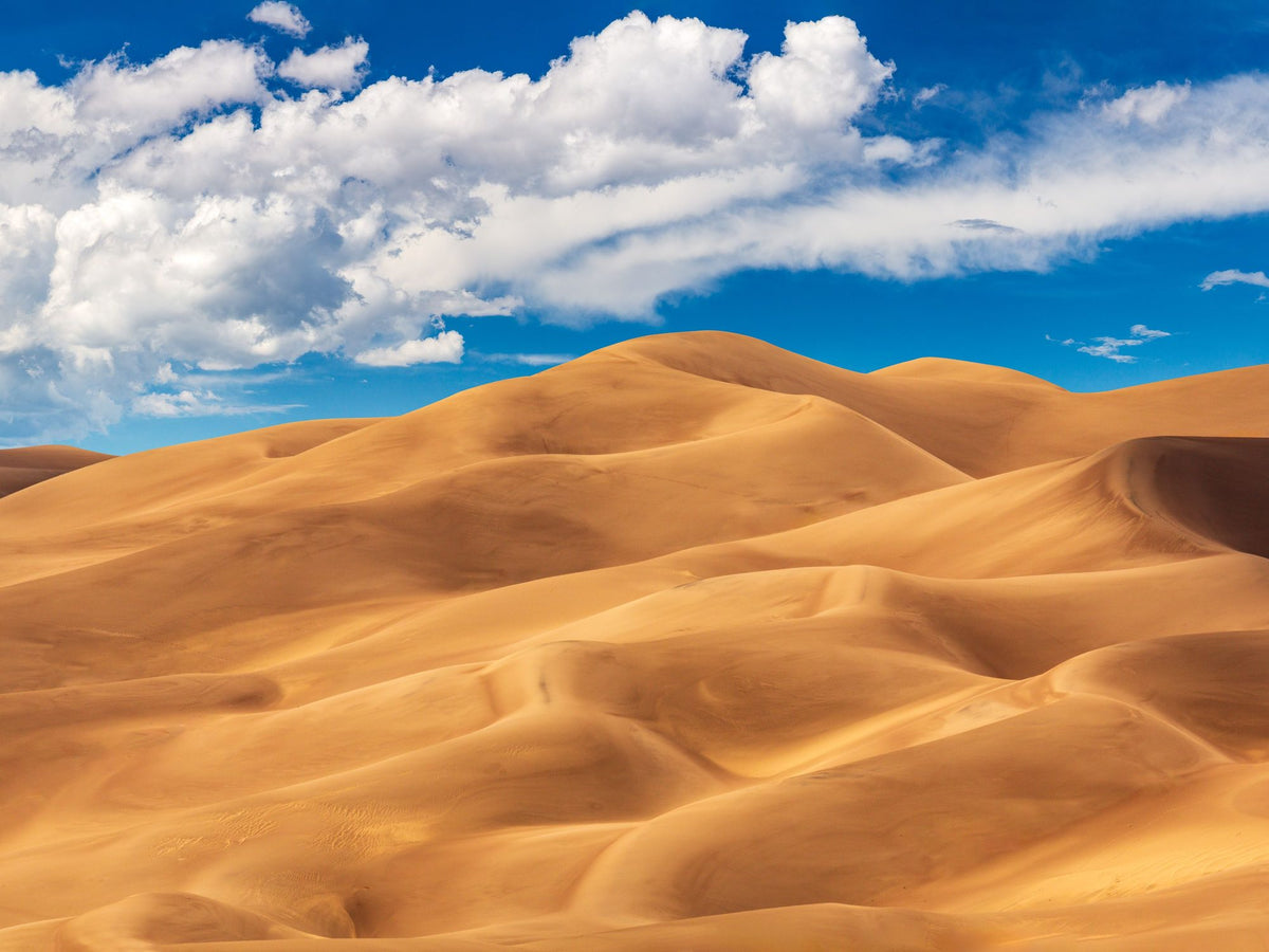 Great Sand Dune of Colorado Mural Wallpaper - pure wallpaper artwork