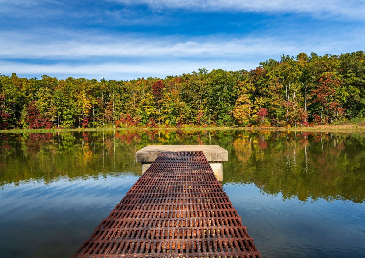 Autumn Lakewalk Mural Wallpaper - pure wallpaper artwork