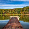 Autumn Lakewalk Mural Wallpaper - pure wallpaper artwork