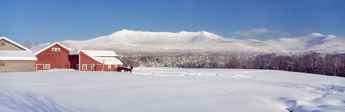 Snowy Mountain Ranch Mural Wallpaper - pure wallpaper artwork