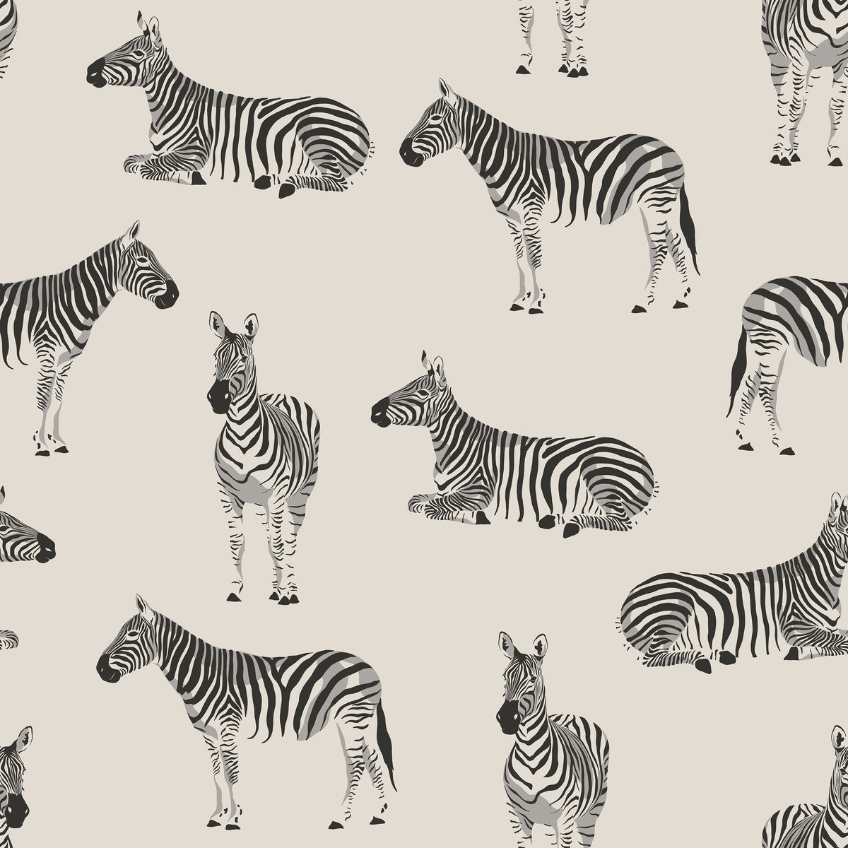 Zebras At Lake Nakuru Mural Wallpaper - pure wallpaper artwork