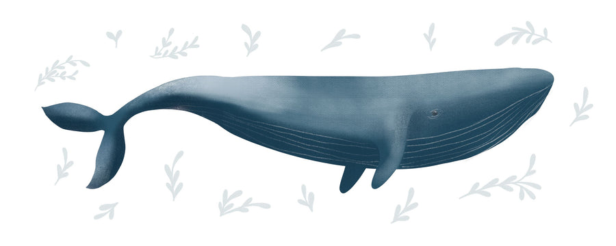 Ocean Life Whale on White Mural Wallpaper