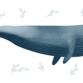 Ocean Life Whale on White Mural Wallpaper - pure wallpaper artwork
