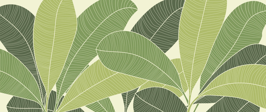 70s Monstera Mural Wallpaper