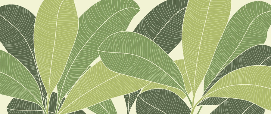 Monstera Wallpaper Mural – Tropical Leaf Wall Mural – 70s Monstera printable artwork