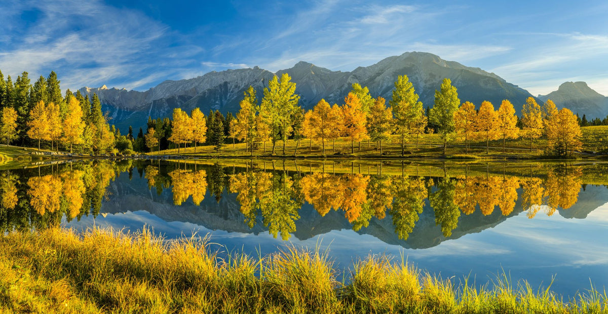 Quarry Lake Fall Mural Wallpaper - pure wallpaper artwork