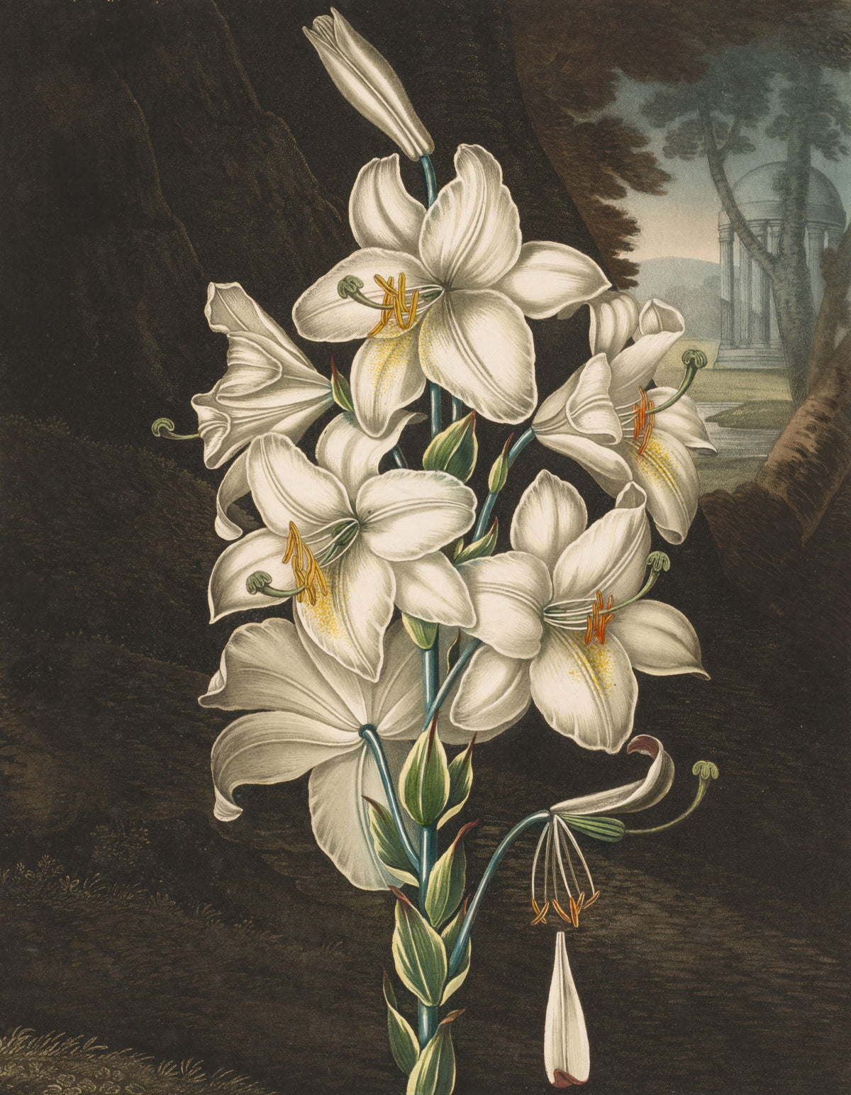 Temple of Flora White Mural Wallpaper - pure wallpaper artwork