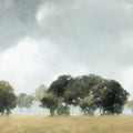 Cloud Dance Mural Wallpaper - pure wallpaper artwork