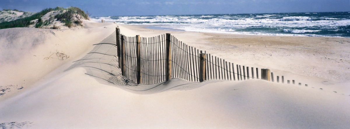 Driftwood Path Mural Wallpaper - pure wallpaper artwork