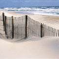 Driftwood Path Mural Wallpaper - pure wallpaper artwork