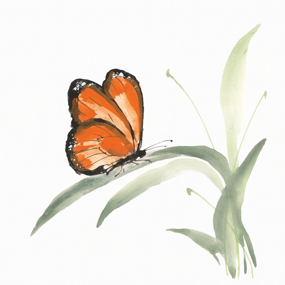 Butterfly Orange II Mural Wallpaper - pure wallpaper artwork