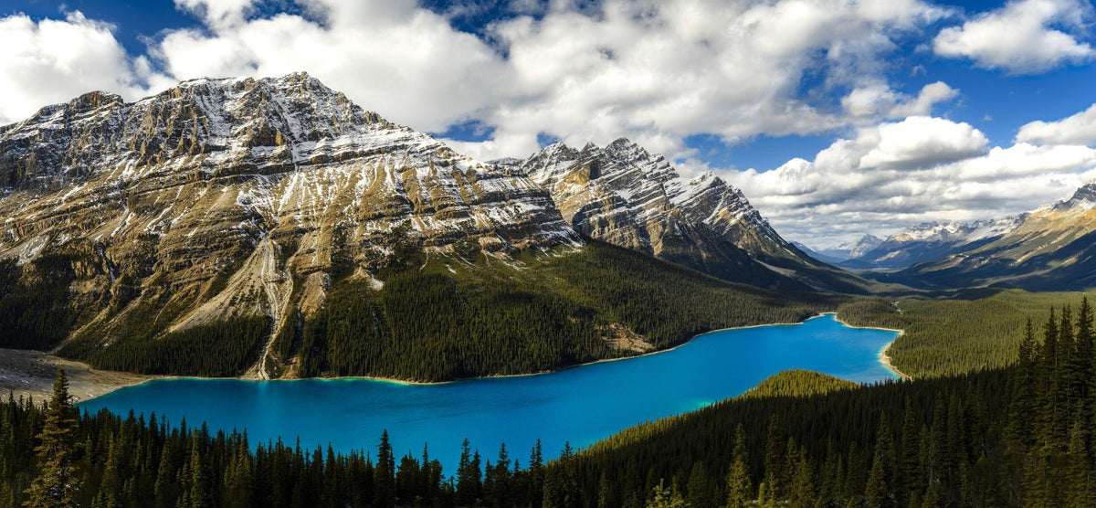 Peyto Lake Mural Wallpaper - pure wallpaper artwork