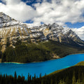 Peyto Lake Mural Wallpaper - pure wallpaper artwork
