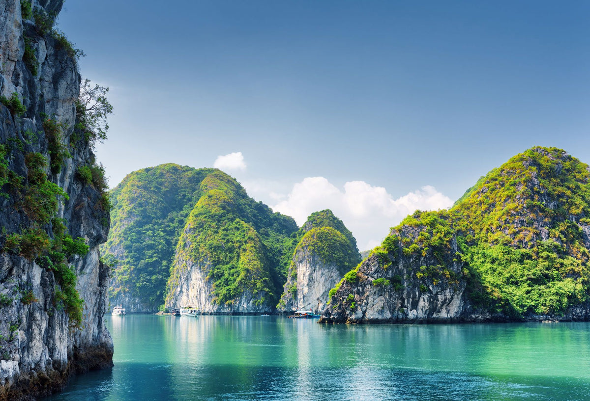 Tropical Bay Mural Wallpaper - pure wallpaper artwork