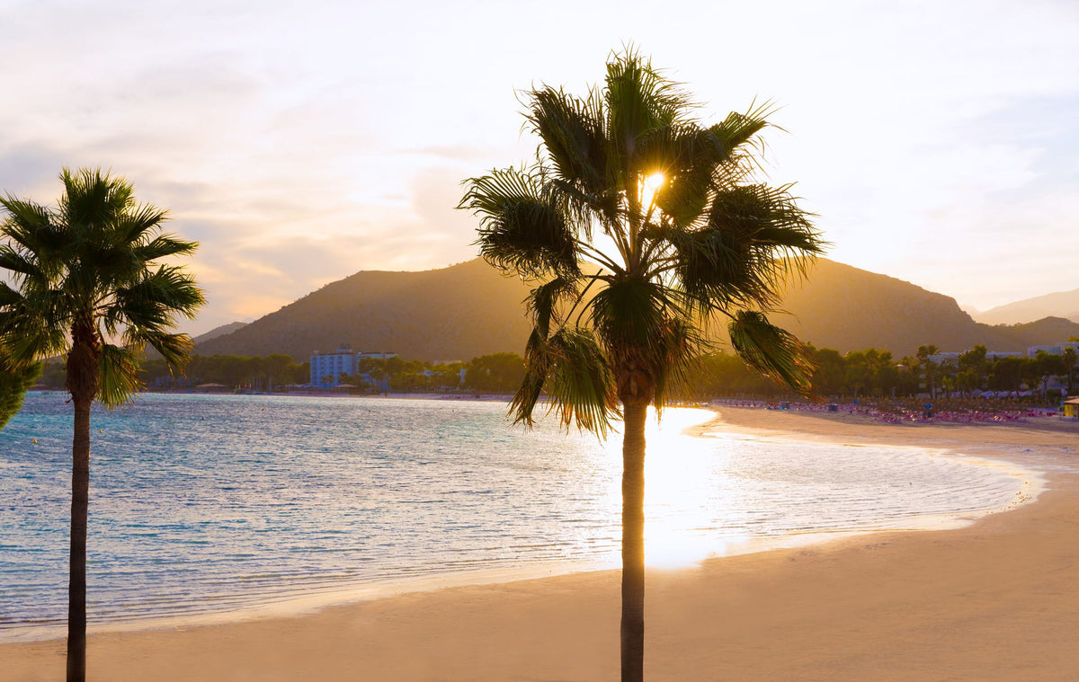 See Through Palms Mural Wallpaper - pure wallpaper artwork