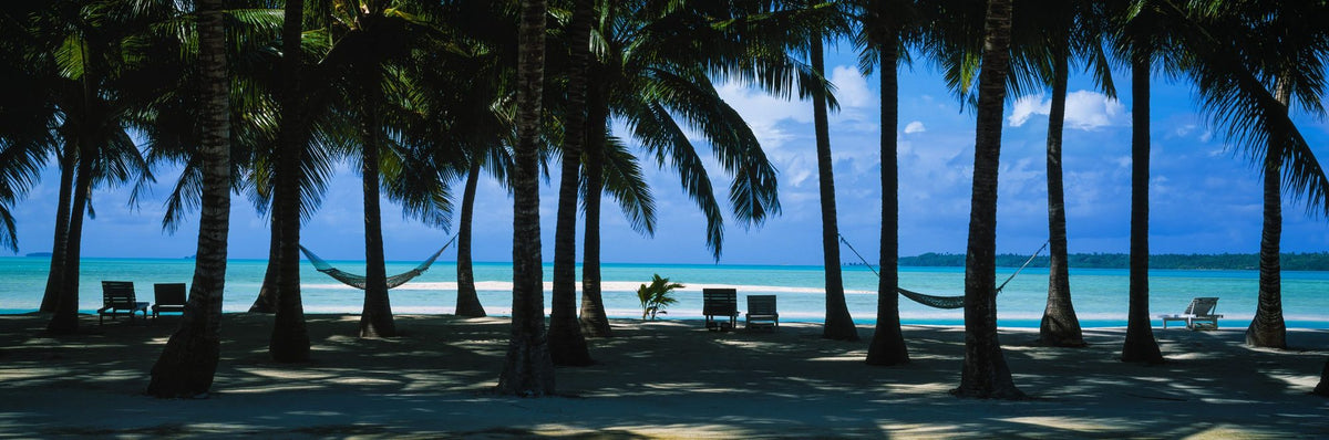 Palm Panorama II Mural Wallpaper - pure wallpaper artwork