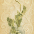 Vintage Poppy in Glass Vase Mural Wallpaper - pure wallpaper artwork