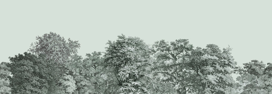 Forest Wallpaper Mural – Woodland Wall Mural – Over the Treetops, Seafoam printable artwork