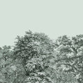 Over the Treetops, Seafoam Mural Wallpaper - pure wallpaper artwork
