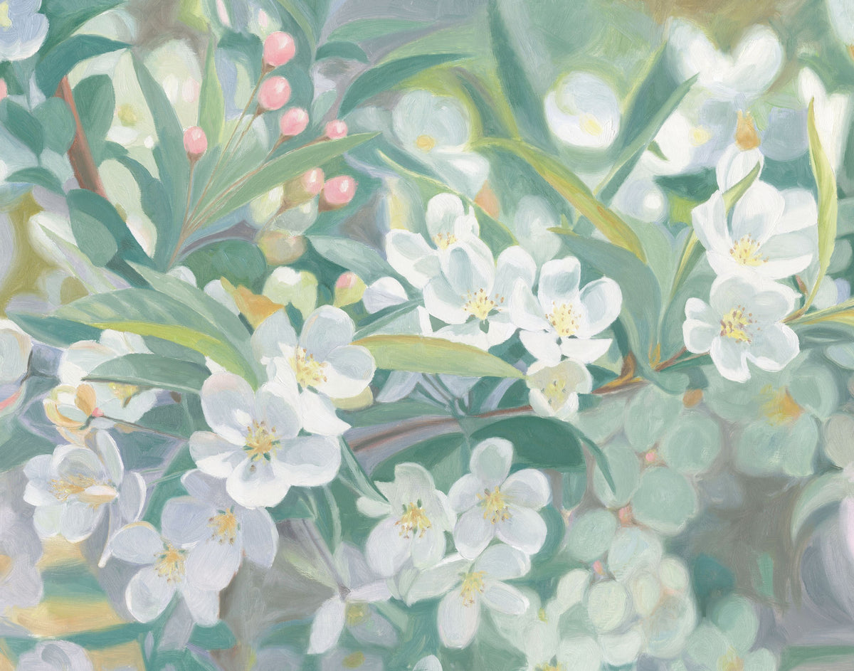 White Blossoms in Focus Mural Wallpaper - pure wallpaper artwork