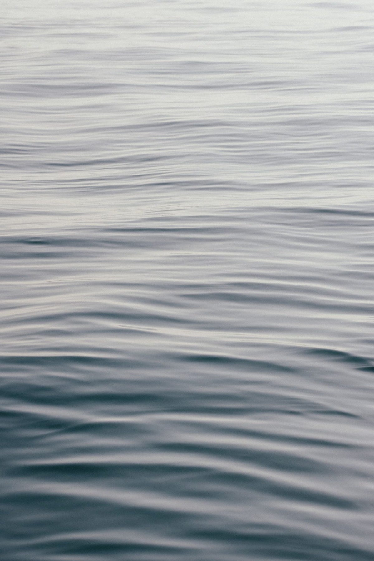 The Silent Sea IV Mural Wallpaper - pure wallpaper artwork