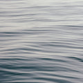 The Silent Sea IV Mural Wallpaper - pure wallpaper artwork