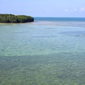 Ocean Oasis Mural Wallpaper - pure wallpaper artwork