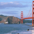 Bay Area Icon Mural Wallpaper - pure wallpaper artwork