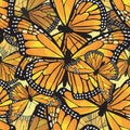 Monarch Movements, Sunflower Mural Wallpaper - pure wallpaper artwork