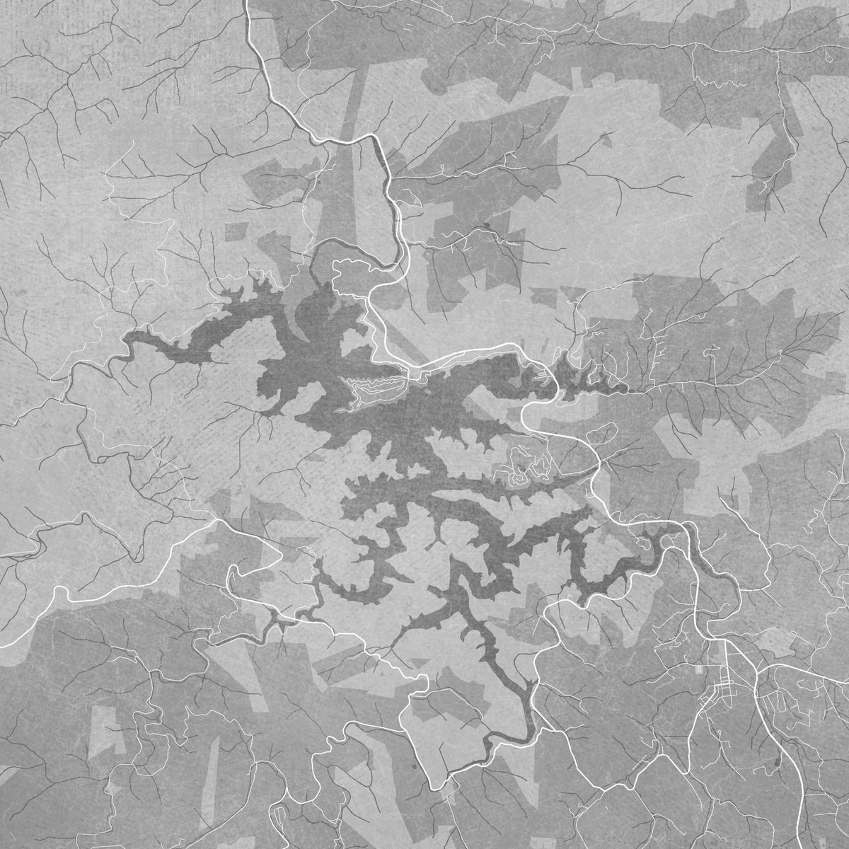 Lake Santeetlah Grey Mural Wallpaper - pure wallpaper artwork