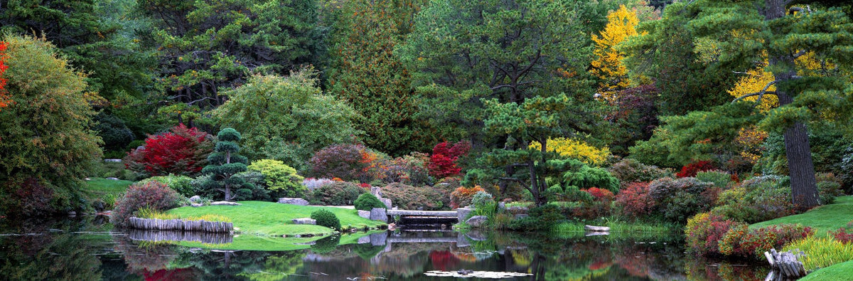 Autumn Bridge Reflection Mural Wallpaper - pure wallpaper artwork