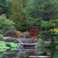 Autumn Bridge Reflection Mural Wallpaper - pure wallpaper artwork