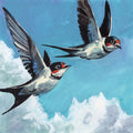 Two Birds in the Clouds Mural Wallpaper - pure wallpaper artwork