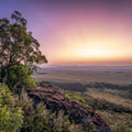 Savannah Sunrise Mural Wallpaper - pure wallpaper artwork