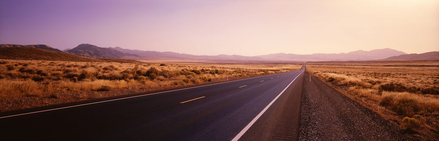 Golden Prairie Road Mural Wallpaper