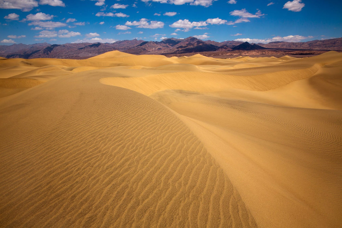 Mesquite Dunes Desert in Death Valley Mural Wallpaper - pure wallpaper artwork