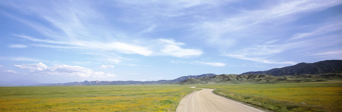 Country Road Horizon Mural Wallpaper - pure wallpaper artwork